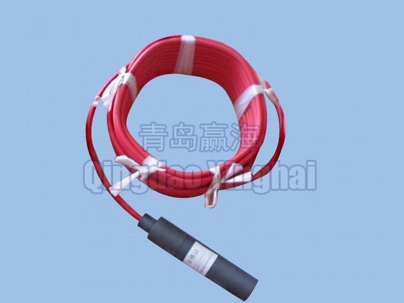 Ag/AgCl reference electrode(intake equipment, circulating pump outer wall)